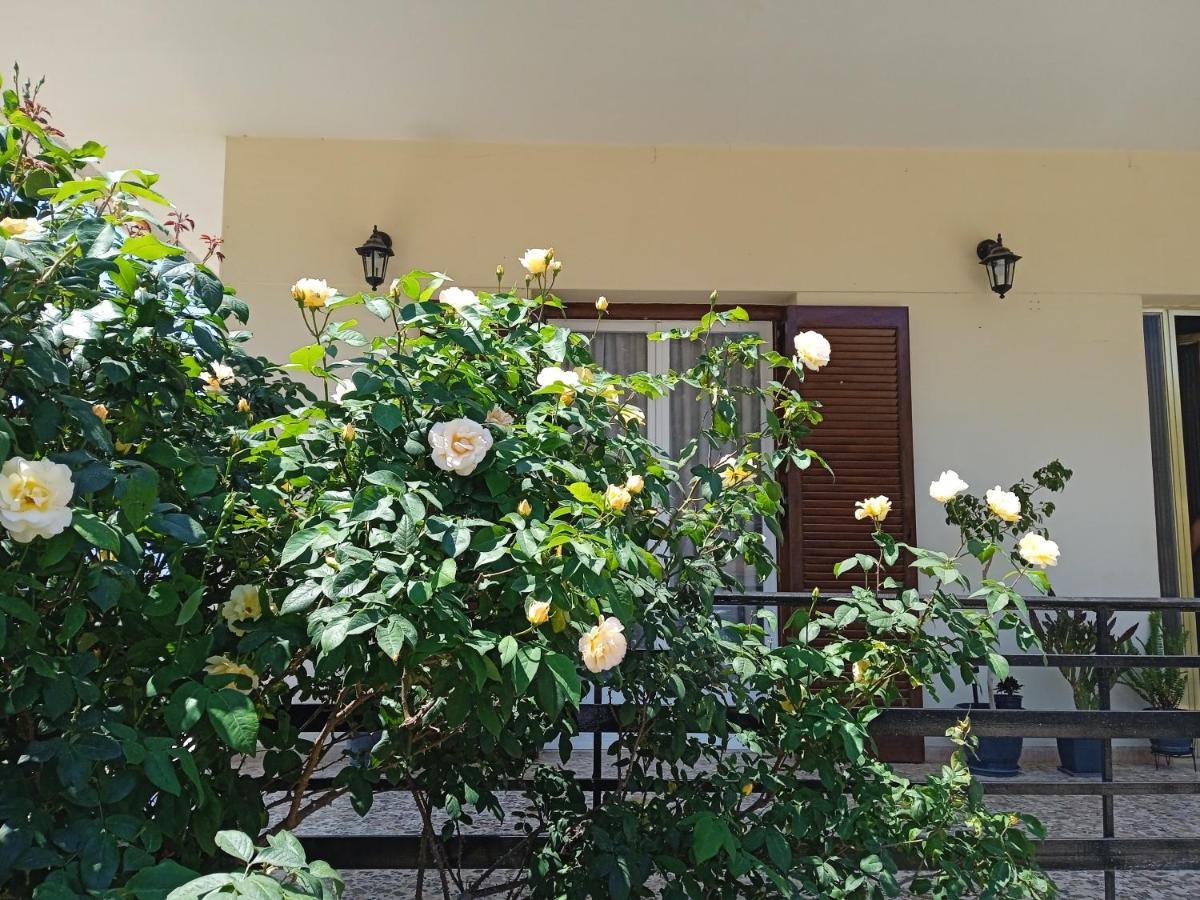Serene Country House 纳夫普利翁 外观 照片